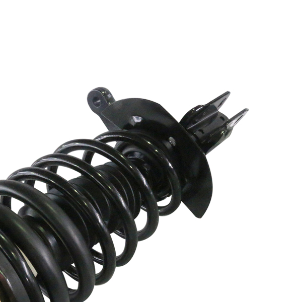 2 PCS COMPLETE STRUT 1998-1999 Buick-skylark;1998-1999 Buick-Somerset;1985 Buick-Somerset Regal;1998-1999 Cadillac-Cimarron;1998-1999 Chevrolet-Cavalier;1998-1999 Oldsmobile-Calais;1998-1999 Oldsmobil