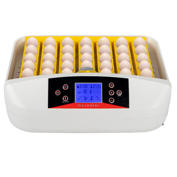 42-Egg Practical Fully Automatic Poultry Incubator with Egg Candler US Standard Yellow & & White & Transparent