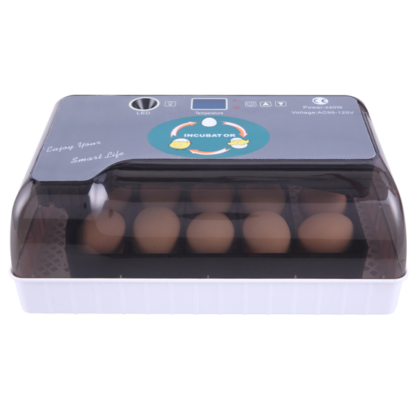 12-Egg Adjustable Egg Tray Practical Fully Automatic Poultry Incubator Set US Plug