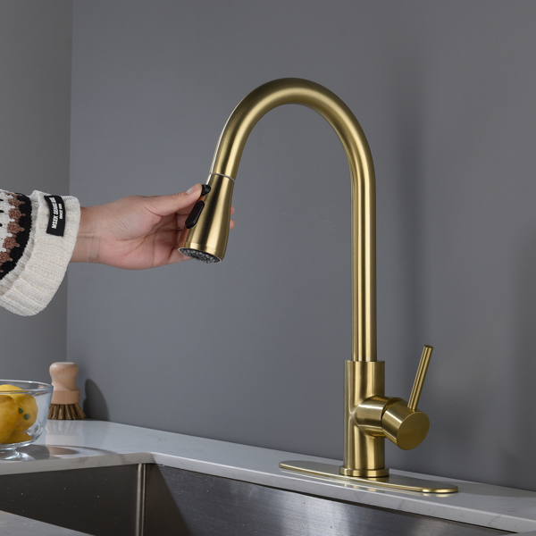  Kitchen Faucet with Pull Out Spraye