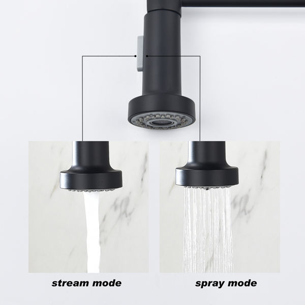 Kitchen Faucet with Pull Out Spraye