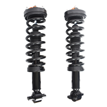 2 PCS COMPLETE STRUT 2015 - 2017 FORD-F-150