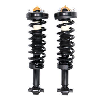 2 PCS COMPLETE STRUT 2014 - 2014 FORD-F-150