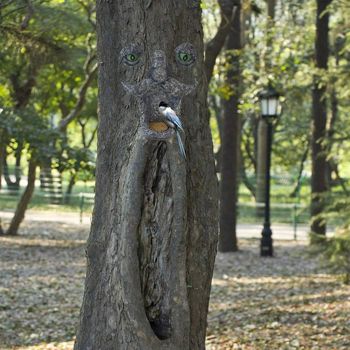 Tree Face Hugger Bird Feeder Garden Peeker Yard Art Decoration Outdoor Sculpture