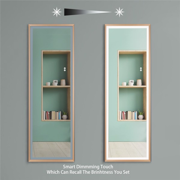(This item can not be sold on Amazon)22" x 65" Led Lighted Full Length Mirror, Body Mirrors with Matte Gold Frame, Touch Switch and Stepless Dimmable