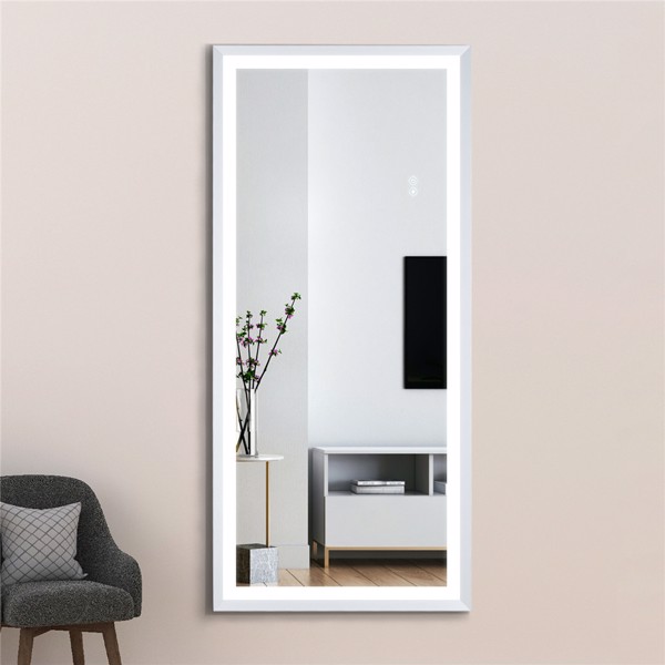 (This item can not be sold on Amazon)22" x 48" Led Lighted Full Length Mirror, Body Mirrors with Brushed Silver Frame, Touch Switch and Stepless Dimmable