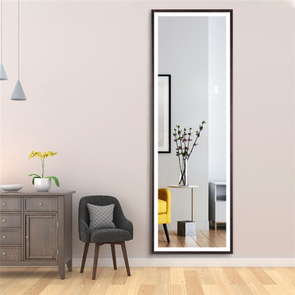 (This item can not be sold on Amazon)22" x 65" Led Lighted Full Length Mirror, Body Mirrors with Oil Brass Frame, Touch Switch and Stepless Dimmable