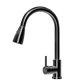 Kitchen Sink Faucet with Pull Down Sprayer 