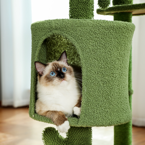 Unique Cactus Cat Tree Cat Tower with Sisal Covered Scratching Post, Cozy Condo, Plush Perches, Hanging Toy and Climbing Ladder