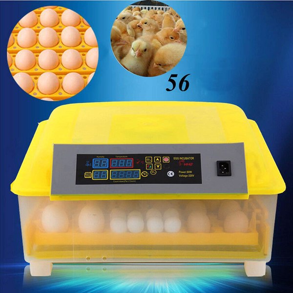 56 Egg Automatic Incubator, Small Size Incubator with Digital Display for Egg Hatching of Chickens Ducks Poultry Quails Pigeons Birds