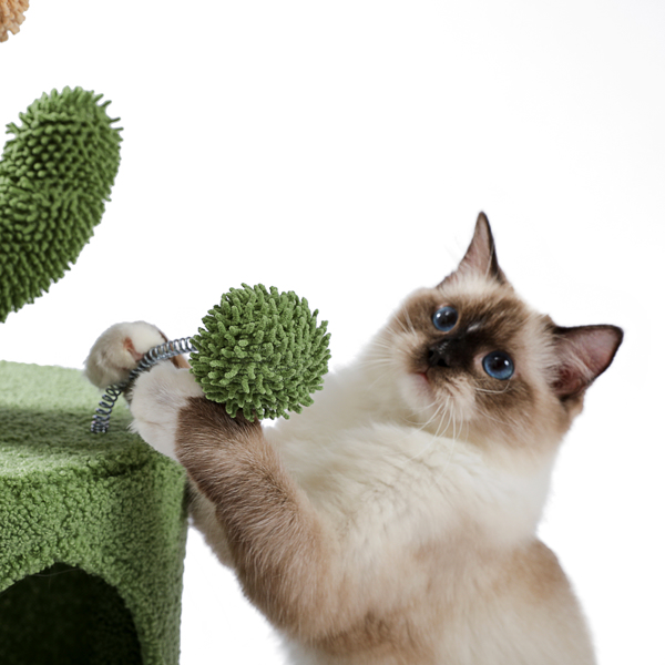 Cactus Cat Tree Cat Tower with Warmy Condo, Plush Perches, Sisal Scratching Post and Fluffy Balls for Small and Medium Cats (Minimum Retail Price for US: USD 59.99)