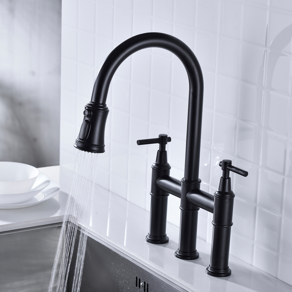 Pull Down Double Handle Kitchen Faucet