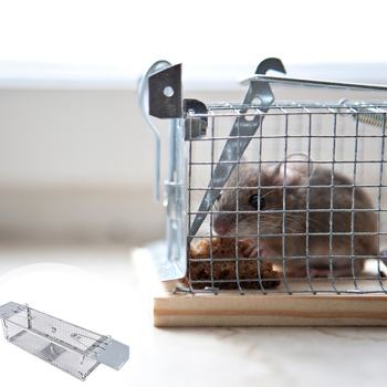  Galvanized Iron Mouse Cage with Mesh/Plate Door Tough Rat Trap Double Door Catch Cage Tough Mice Temptation Trap Rustproof Rat Cage for Living Room Kitchen Warehouse Barn