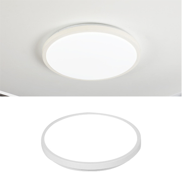 Round LED Ceiling Lamp Monochrome White Light Ceiling Light with Remote Controller for Home Use