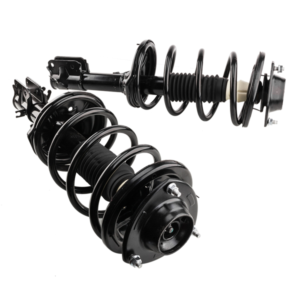 complete strut assembly