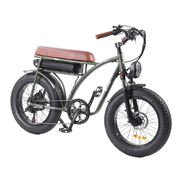Electric Bike Adults 1000W Motor 48V 12.5AH Battery Olive Drab