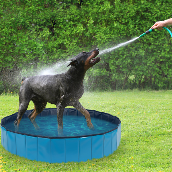 Foldable Dog Pet Bath Pool, 63" Diameter Large Collapsible Wading Pool Pits Ball Pool Portable Bathing Swimming Tub for Dogs Cats Indoor & Outdoor Use, Blue