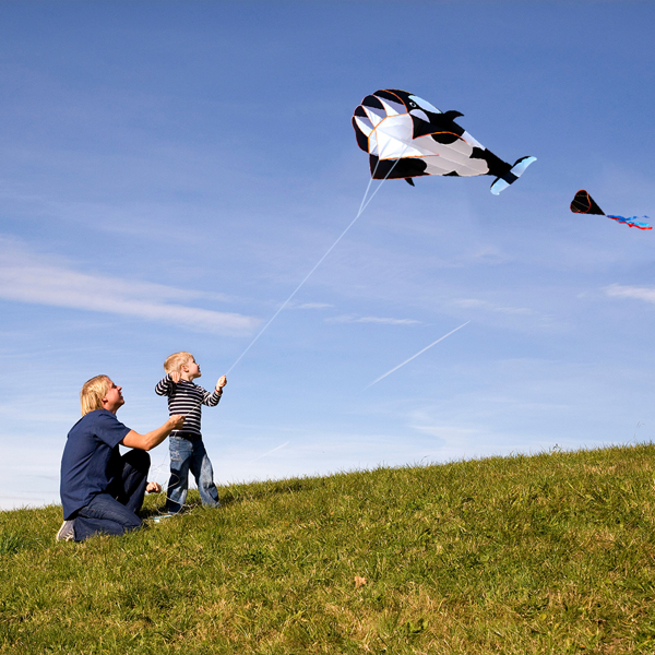 3D Kite Huge Frameless Soft Parafoil Giant Blue Dolphin Breeze Kite