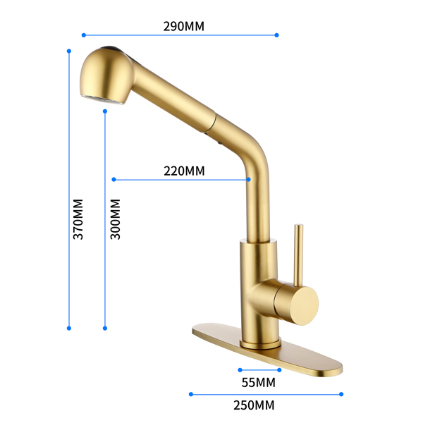 Single-Handle Pull-Out Sprayer Kitchen Faucet in Stainless Gold