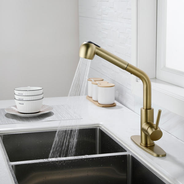 Single-Handle Pull-Out Sprayer Kitchen Faucet in Stainless Gold