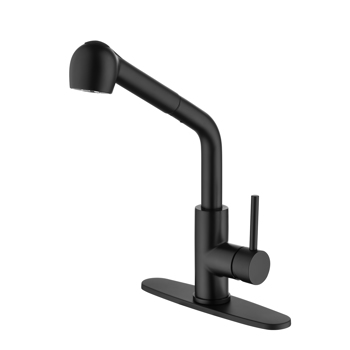 Single-Handle Pull-Out Sprayer Kitchen Faucet in Stainless Matte Black