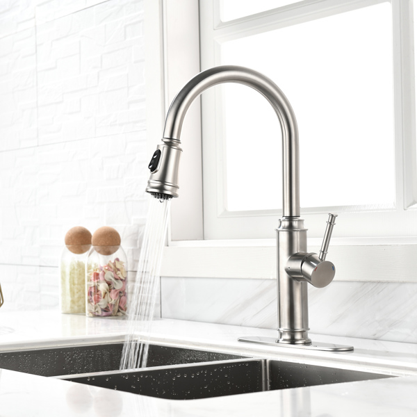 Single Handle High Arc Pull Out Kitchen Faucet,Single Level Stainless Steel Kitchen Sink Faucets with Pull Down Sprayer