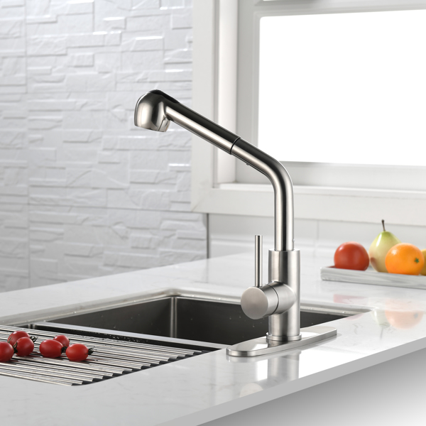 Single-Handle Pull-Out Sprayer Kitchen Faucet in Stainless