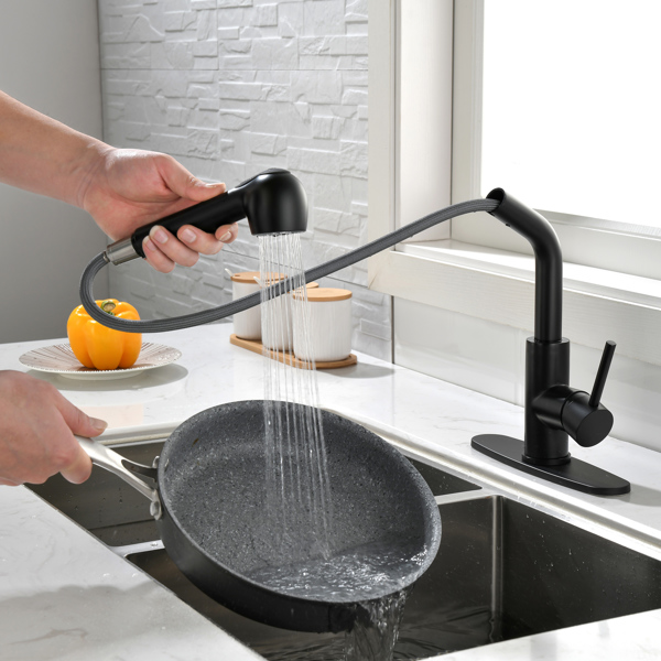 Single-Handle Pull-Out Sprayer Kitchen Faucet in Stainless Matte Black