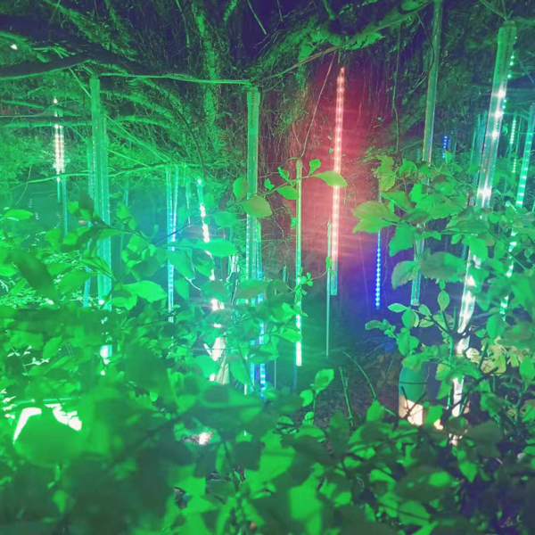 Solar LED Light Meteor Shower Falling Rain Xmas Tree String Outdoor Garden Decor