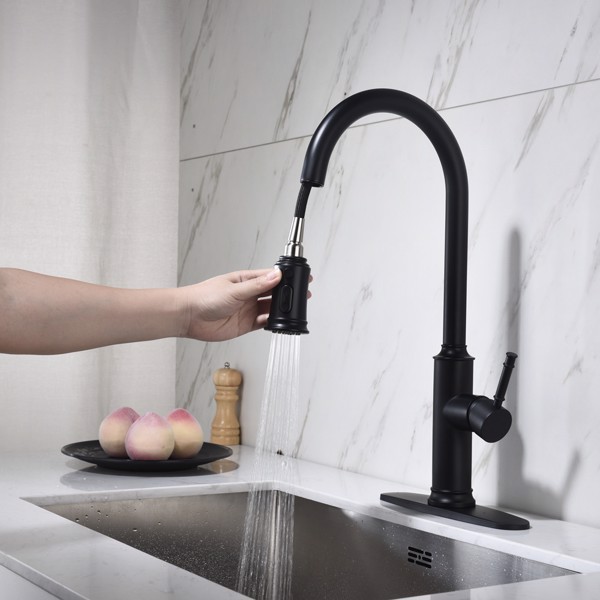 Single Handle Pull Down Kitchen Faucet with Dual Function Sprayhead