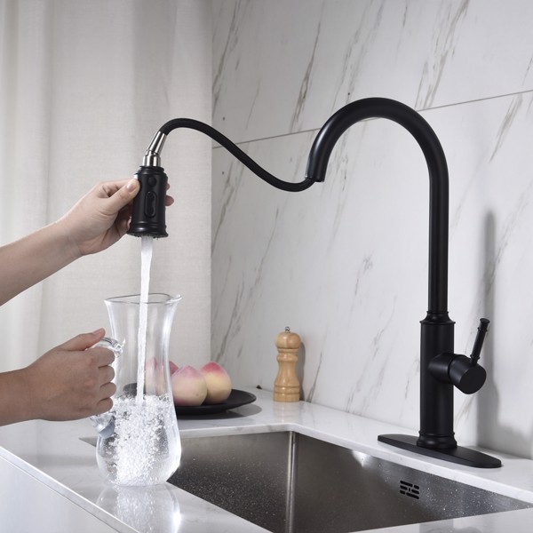 Single Handle Pull Down Kitchen Faucet with Dual Function Sprayhead