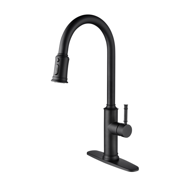 Single Handle Pull Down Kitchen Faucet with Dual Function Sprayhead