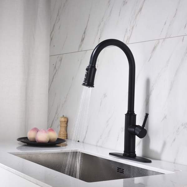 Single Handle Pull Down Kitchen Faucet with Dual Function Sprayhead