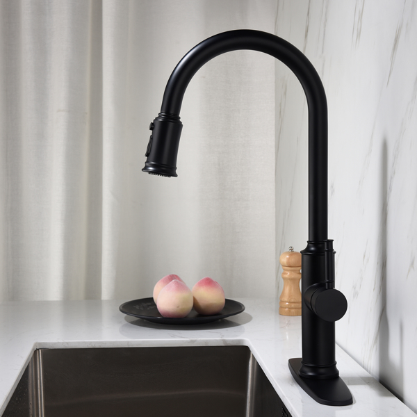 Single Handle Pull Down Kitchen Faucet with Dual Function Sprayhead