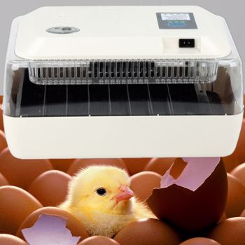 24 Eggs Incubator Automatic Brooder Farm Chick Hatchery Digital Hatcher for Goose Chickens Quails Bird Poultry