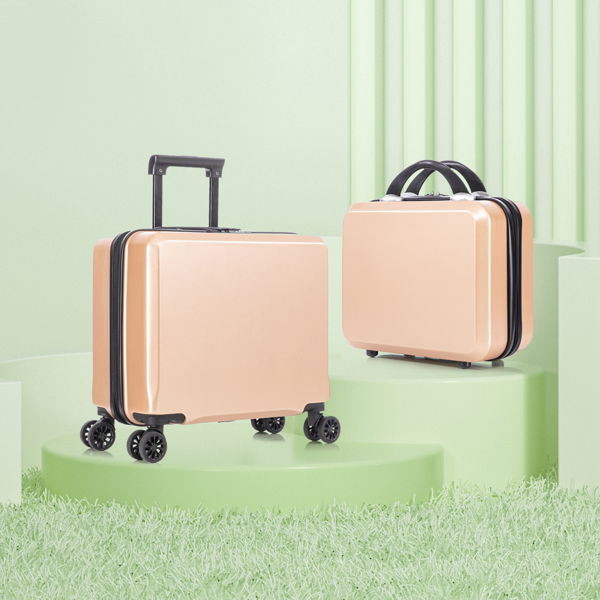 2 Piece Travel Luggage Set Hard shell Suitcase with Spinner Wheels 18” Underseat luggage and 14” Comestic Travel case Toiletry box  Champagne