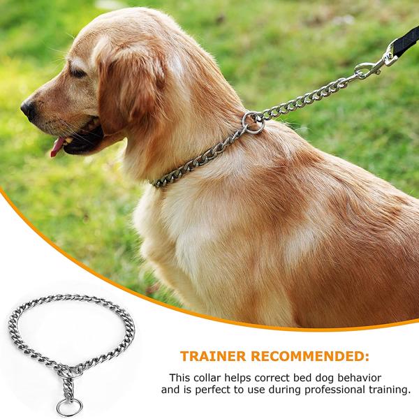 Dog Slip Choke Collar Chain Adjustable Stainless Steel Dog Training Chain Collars for Small Medium Large Dogs, M