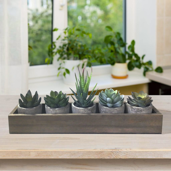 5Pcs Artificial Succulent Cactus Plants,Faux Succulent Cactus Plants with Gray Pots for Home Decor