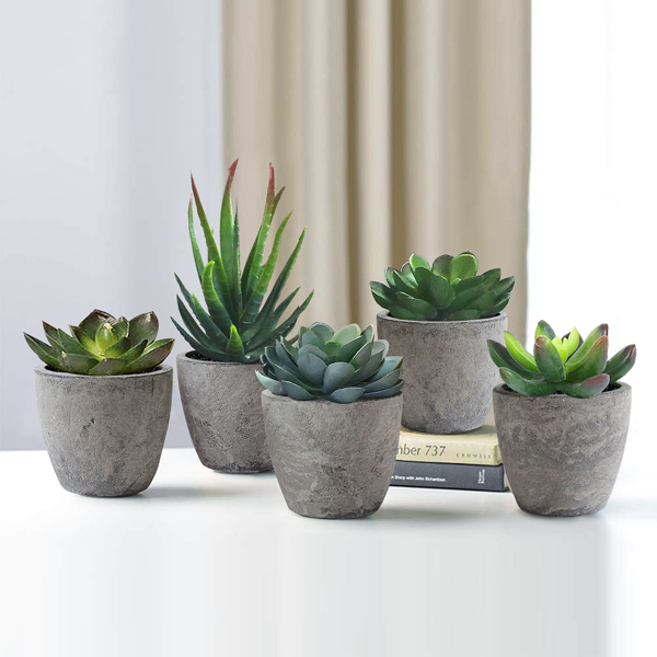 5Pcs Artificial Succulent Cactus Plants,Faux Succulent Cactus Plants with Gray Pots for Home Decor