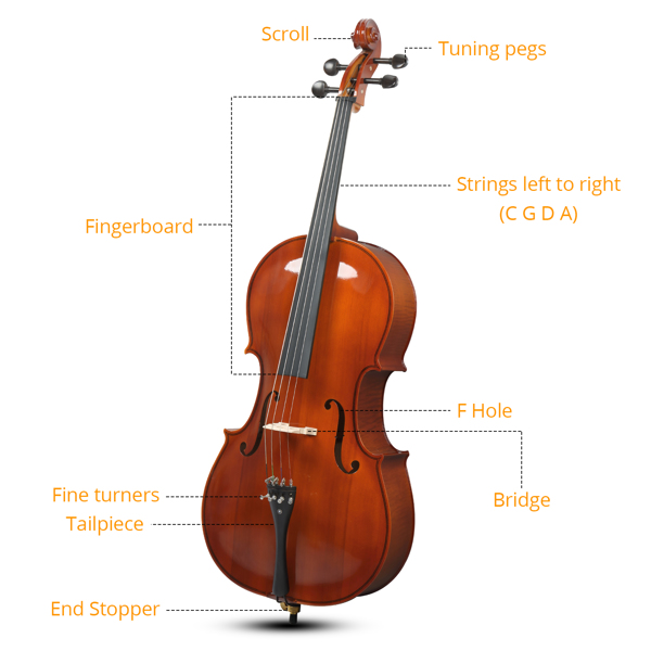 Full Side 4/4 Natural Color Spruce Panel Cello Tiger pattern process with Bag Bow Rosin Bridge Strings