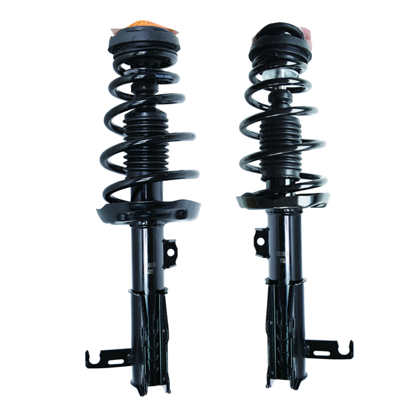 2 PCS COMPLETE STRUT 2010 Buick  Allure 
2011-2016 Buick  LaCrosse