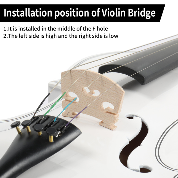 【Do Not Sell on AmazonFull Size 4/4 Violin Set for Adults Beginners Students with Hard Case,Violin Bow,Shoulder Rest,Rosin,Extra Strings and Sordine