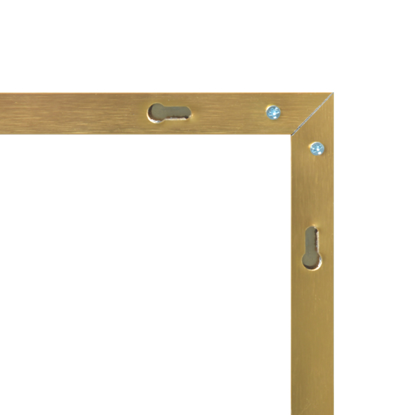 Full Length Mirror with Hanging Hooks for Door, Wall Mounted Decoration Dressing Mirror, Gold, 50” x 14”