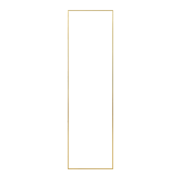 Full Length Mirror with Hanging Hooks for Door, Wall Mounted Decoration Dressing Mirror, Gold, 50” x 14”