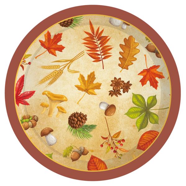 Thanksgiving Maple Leaf Paper Plates Party Plates and Napkins Party Supplie Birthday Disposable Tableware Set Party Dinnerware Serves 8 Guests for Plates, Napkins, Cups 68PCS