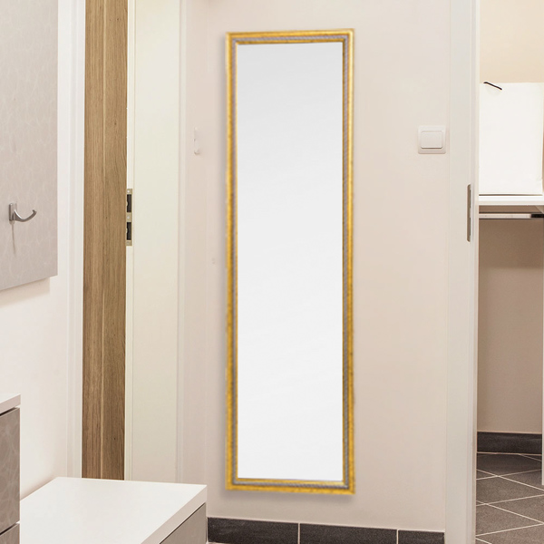 Full Length Mirror Door Mirror Full Body Dressing Mirror Wall Mounted Hanging for Dorm Home, 50"x 14", Gold