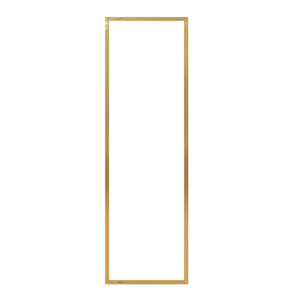 Full Length Mirror with Hanging Hooks for Door, Wall Mounted Decoration Dressing Mirror, Gold, 50” x 14”