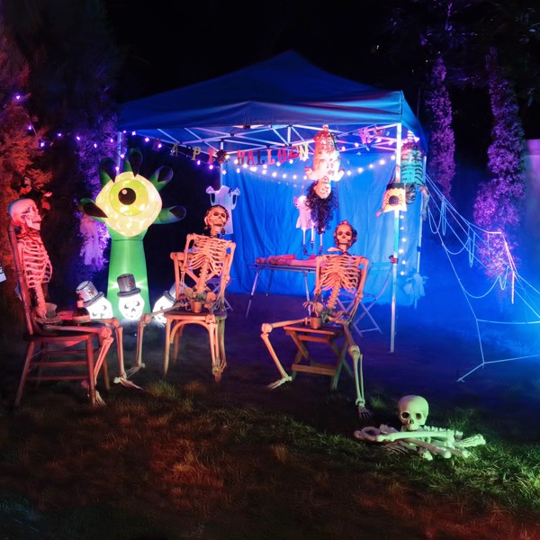 28 Pieces Skeleton Bones and Skull for Halloween Decor or Spooky Graveyard Ground Decoration for   decorating walls, doors, windows, tables, closets, haunted houses,   graveyards, bars, stages（No ship