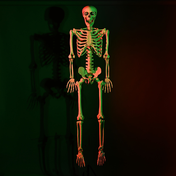 Halloween Decoration  Skeleton, Life Size Posable Skeleton with Stake Red Eyes Sound Activated Realistic Human Bones, Halloween Decoration for Indoor Outdoor Spooky Scene Haunted House（No shipping on 