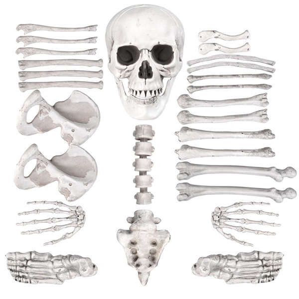 28 Pieces Skeleton Bones and Skull for Halloween Decor or Spooky Graveyard Ground Decoration for   decorating walls, doors, windows, tables, closets, haunted houses,   graveyards, bars, stages（No ship
